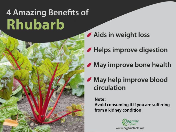 Health benefits of rhubarb infographic