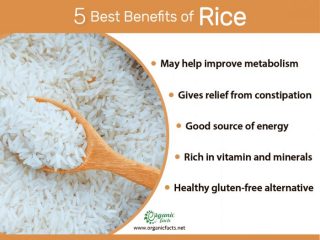 Rice: Health Benefits & Nutrition Facts | Organic Facts