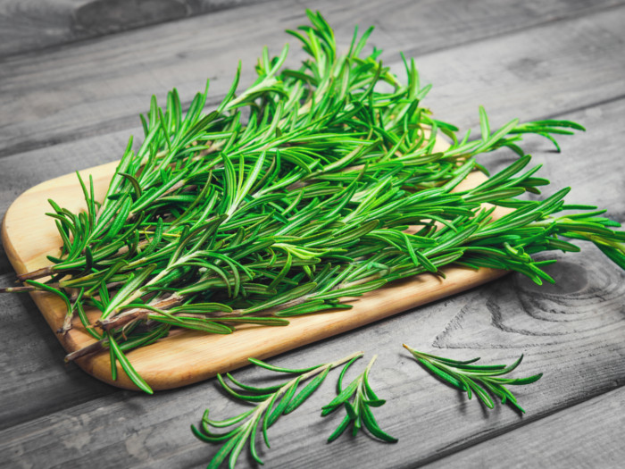 8 Best Tarragon Substitutes Organic Facts