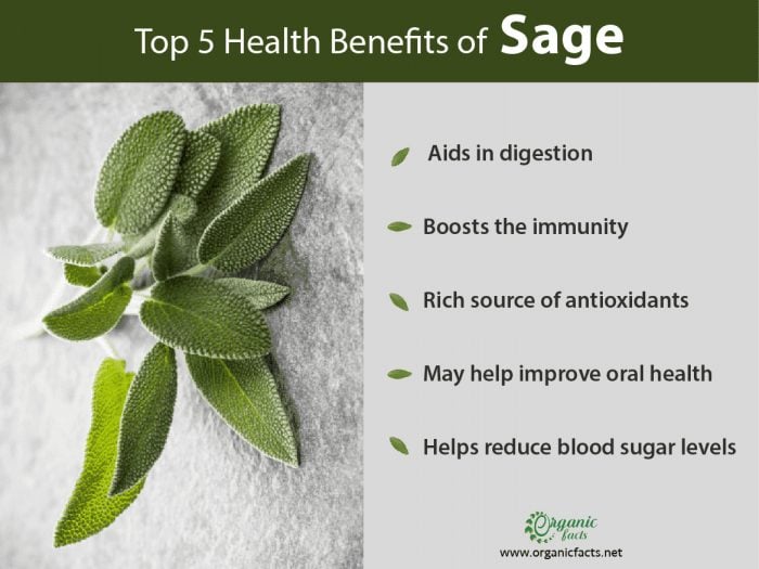 9 Impressive Benefits of Sage Organic Facts