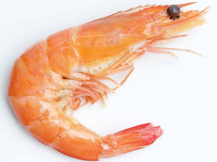 Image result for shrimp