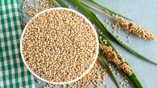 A white bowl filled with sorghum seeds, leaves, and seed heads with a cloth on a green background