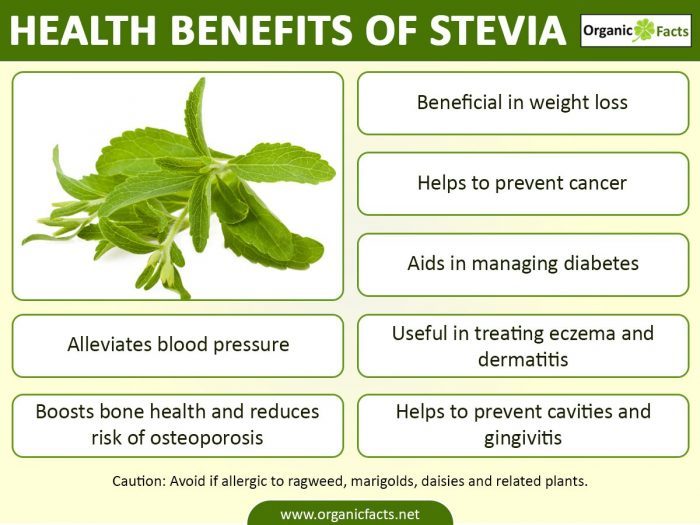 Natural Cures: 7 Impressive Stevia Health Benefits