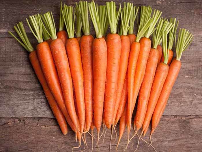 Fresh and sweet carrots on a wooden table