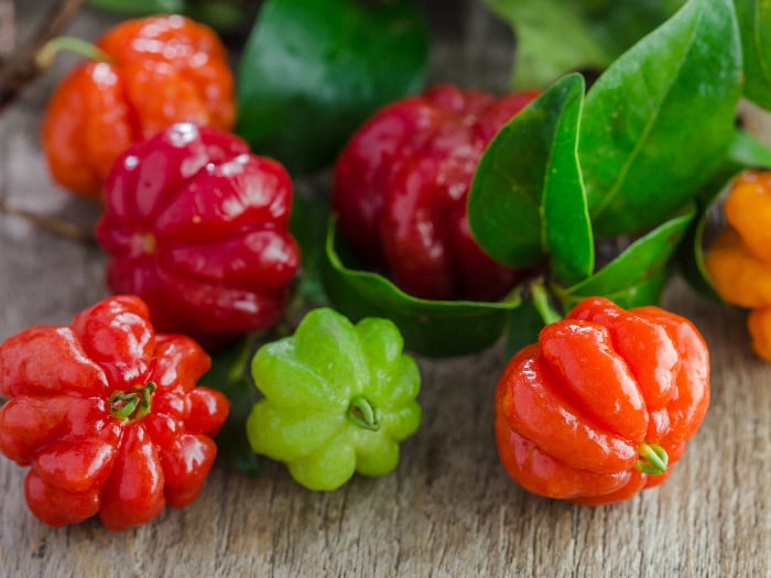 What Is Surinam Cherry (Pitanga) | Organic Facts