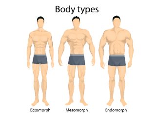 Understanding The Different Body Types | Organic Facts