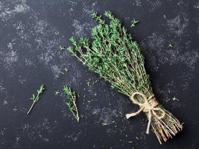 Thyme Information and Facts