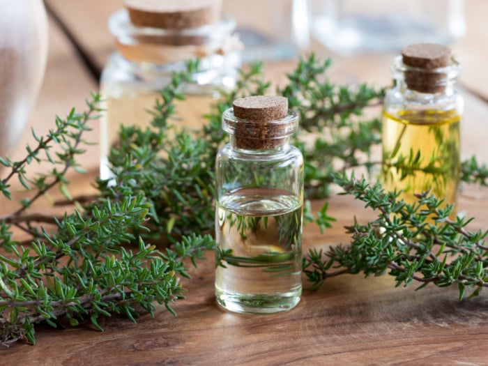 21 Incredible Health Benefits Of Thyme Essential Oil