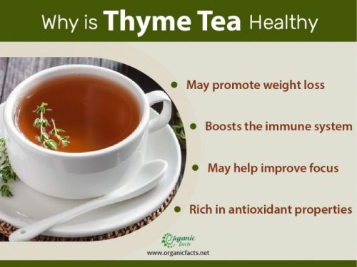 Thyme Tea: Benefits & How To Make It | Organic Facts