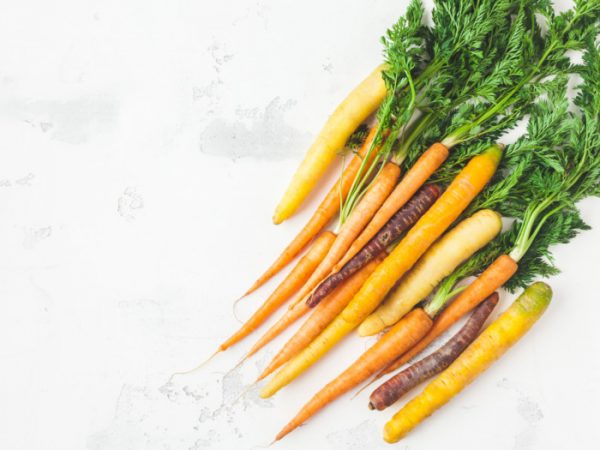 Different Types Of Carrots Organic Facts 