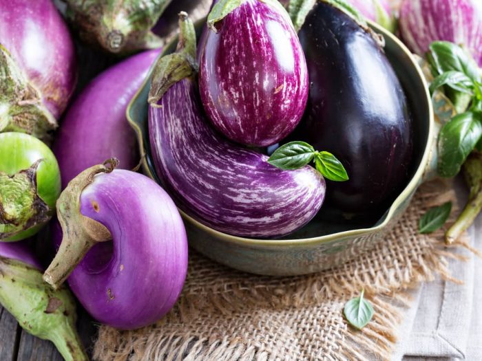 9 Amazing Types of Eggplant | Organic Facts