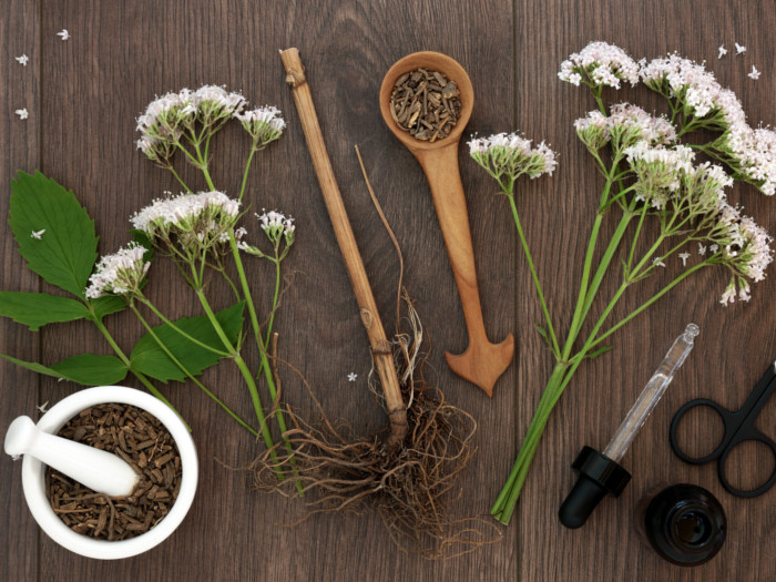 valerian-root-for-anxiety-sleep-organic-facts