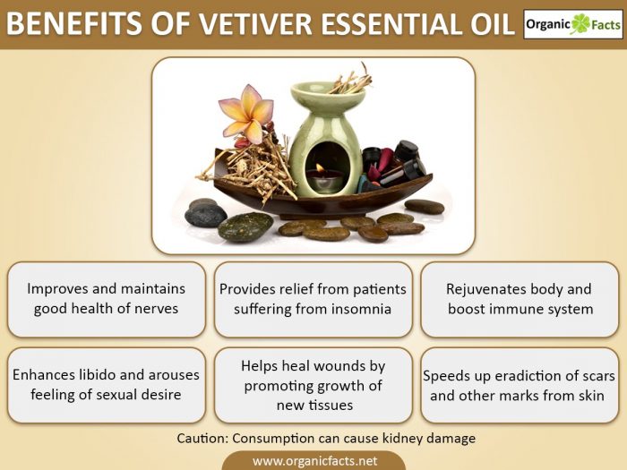 8 Surprising Benefits of Vetiver Essential Oil Organic Facts