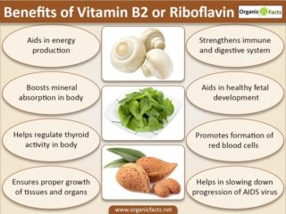 13 Impressive Benefits of Riboflavin (Vitamin B2) | Organic Facts