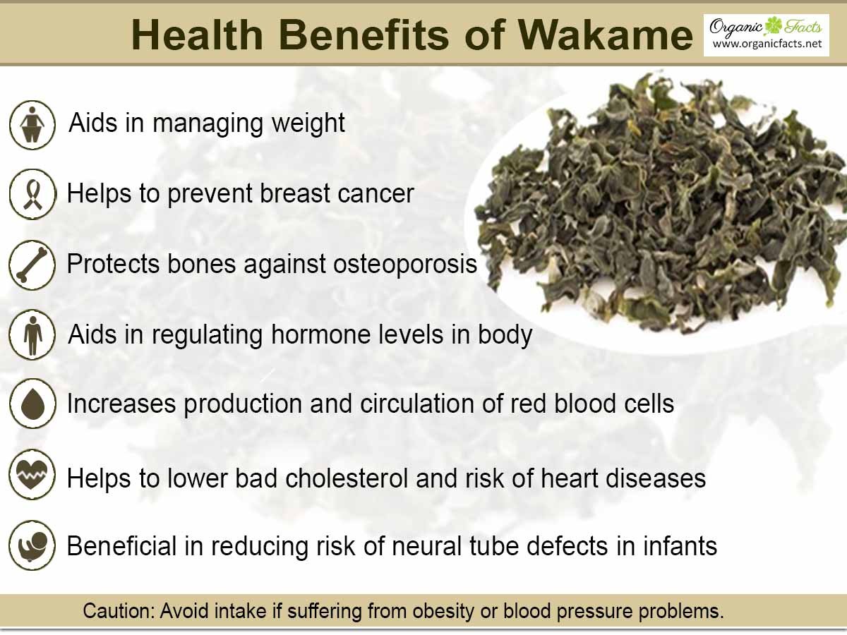 9-impressive-benefits-of-wakame-organic-facts