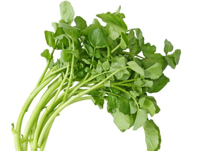 17 Impressive Watercress Benefits Organic Facts