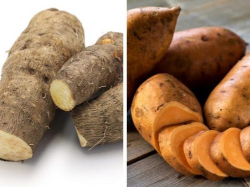 difference-between-yams-and-sweet-potatoes-organic-facts